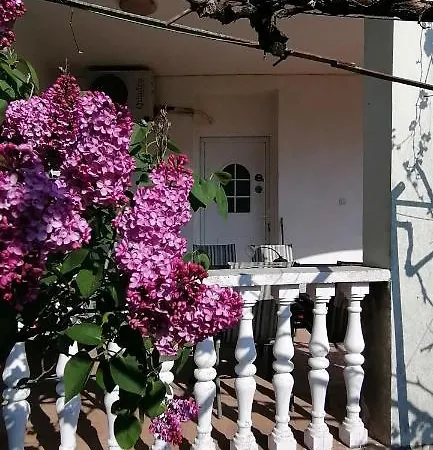 Olivera Apartments * Pula