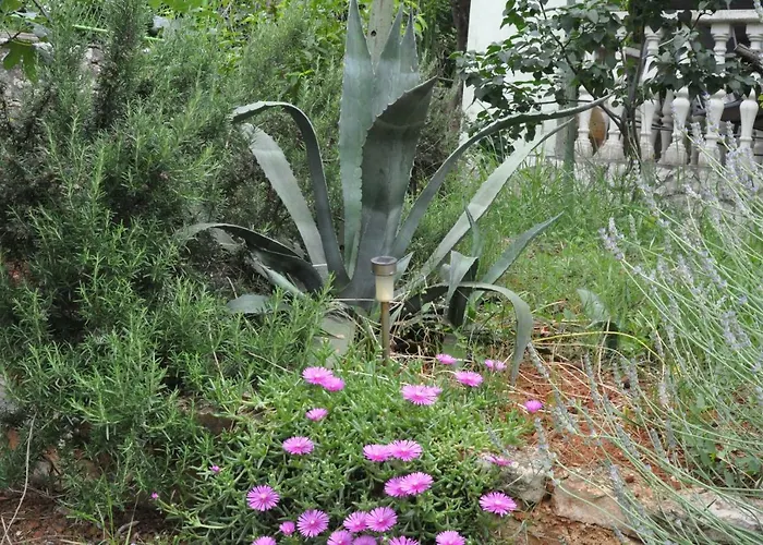 Olivera Appartement Pula