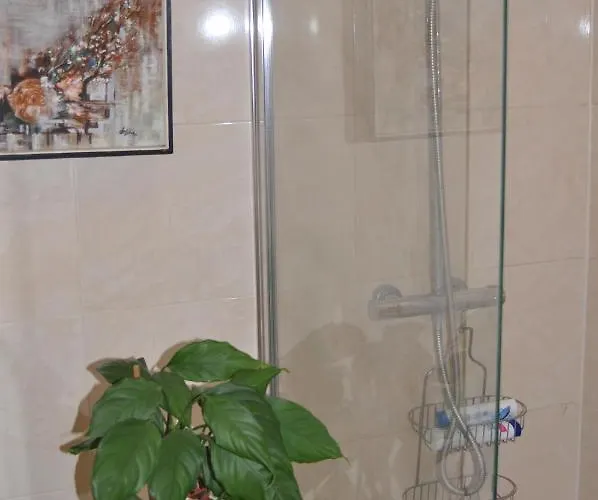 Olivera * Πούλα