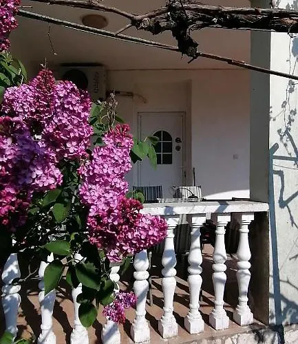 Olivera * Πούλα