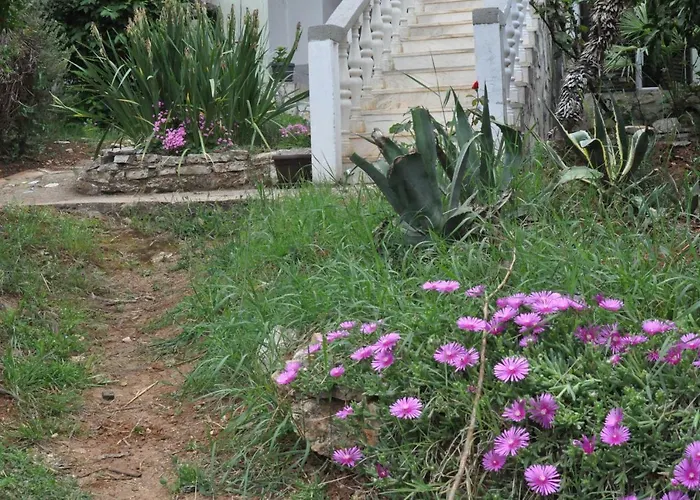 Olivera Διαμέρισμα