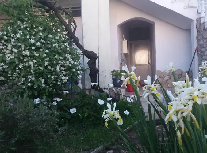 Olivera * Πούλα