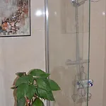 Olivera * פולה
