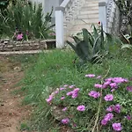 Olivera דירה