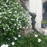 Olivera