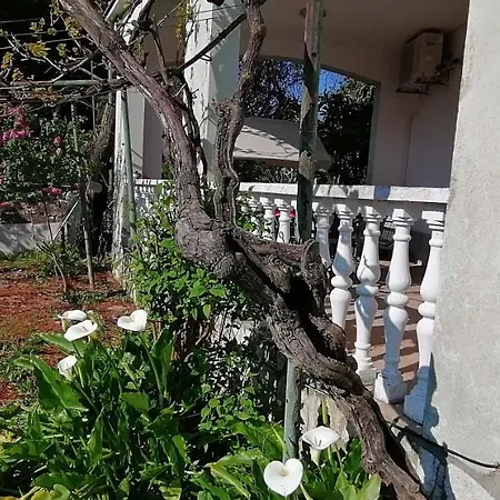 Apartamento Olivera
